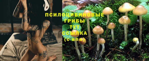 PSILOCYBIN Белоозёрский
