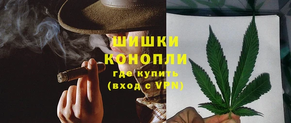 PSILOCYBIN Белоозёрский